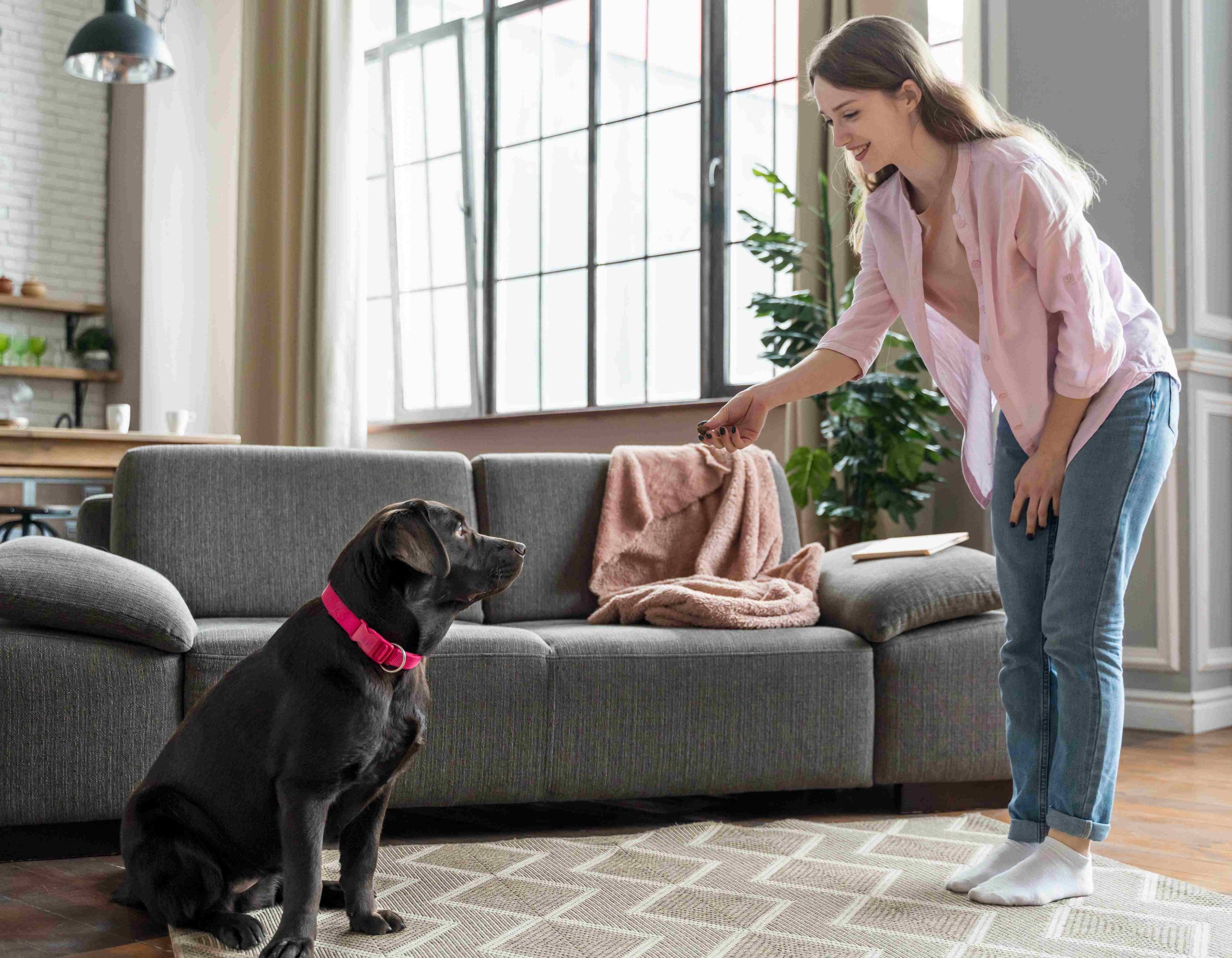 How to Help Your Pet Settle into a New Home After Relocation